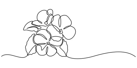 A black line art drawing of an African violet with a stylized flowering plant. An illustration of a Saintpaulia flowering plant on a white background, African violet in continuous line art drawing one