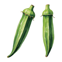 オクラの水彩風イラスト　生成AI