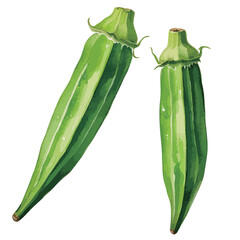 オクラの水彩風イラスト　生成AI