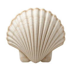 seashell, scallop shell, off-white, beige, detailed texture,