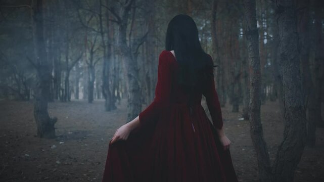 Fairy tale Gothic scared girl walking turned away in dark foggy forest trees, velvet red medieval old style dress. Fantasy Woman walking. Black hair back rear view sad princess looks around warily 4k.