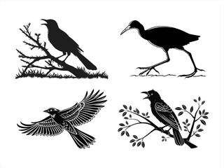 bulbul sihouette black vector bundle