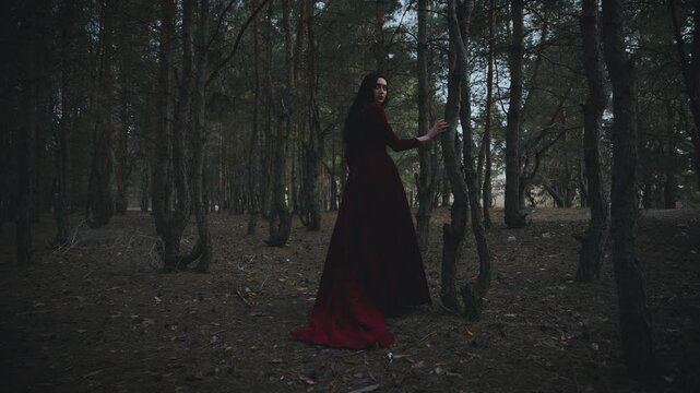 Fairy tale Gothic scared girl walking turned away in dark foggy forest trees, velvet red medieval old style dress. Fantasy Woman walking. Black hair back rear view sad princess looks around warily 4k.