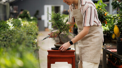 Cropped shot of smiling florist working with bonsai tree in plant nursery