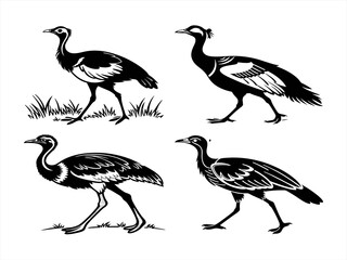 bustard bird sihouette black vector bundle