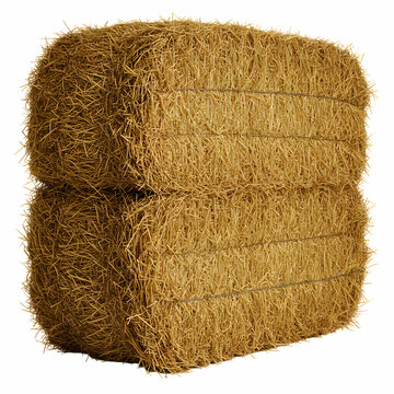 Square Hay Bale