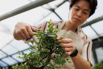 Blurred asian florist cutting bonsai tree in glasshouse