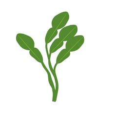 Illustration of a branched lime leaf. Illustration of a hand-drawn lime leaf 