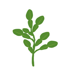Illustration of a branched lime leaf. Illustration of a hand-drawn lime leaf 