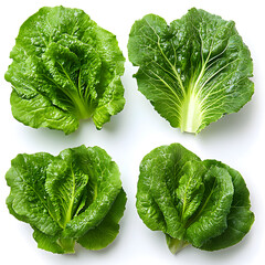 Fresh green lettuce heads forming a pattern on white background