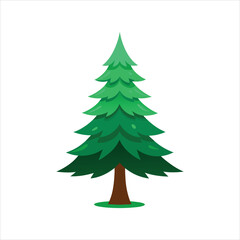 spruce green tree vectors