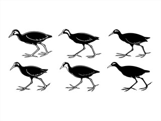 jacana bird sihouette black vector bundle