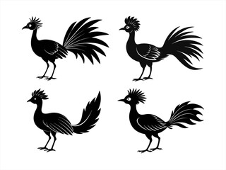 Fototapeta premium lyrebird sihouette black vector bundle