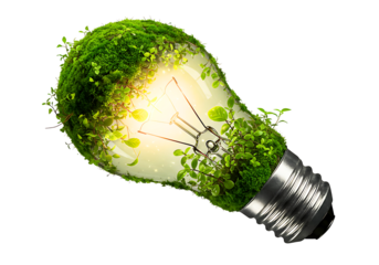 Light Bulb with Greenery Isolated on Transparent Background