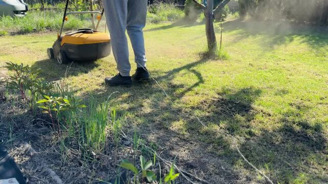 Lawn aeration or scarification, spring gardening work