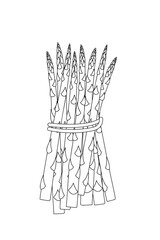 asparagus bunch black and white line drawing for culinary designs, organic food packaging, restaurant menus, cookbooks, and healthy eating concepts, vector illustration