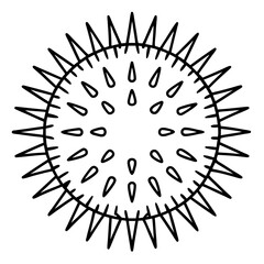 Sea Urchin One-Line Vector Illustration