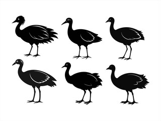 swamphen bird sihouette black vector bundle
