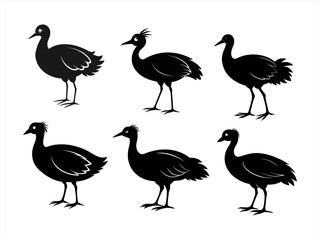 swamphen bird sihouette black vector bundle