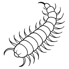 Single Line Centipede Illustration Vector