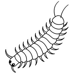 Single Line Centipede Illustration Vector
