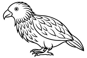 Kestrel Silhouette Sketch