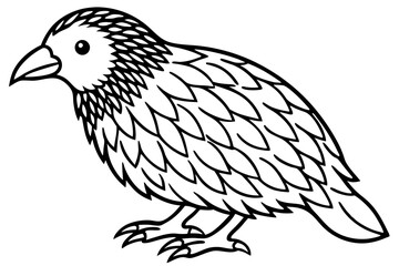Fototapeta premium Kestrel Silhouette Sketch