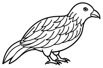 Kestrel Silhouette Sketch