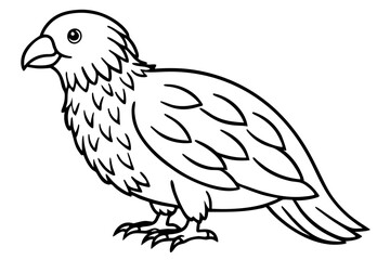 Kestrel Silhouette Sketch