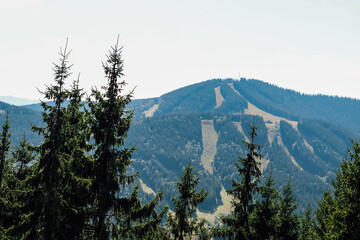 Mountain landscape with ski slopes and pine trees in sunny weather