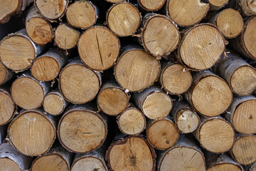 Wood logs neatly stacked for storage and future use in construction or woodworking projects