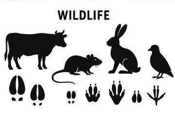 Wildlife silhouettes showcasing various animals and their tracks in a flat vector design
