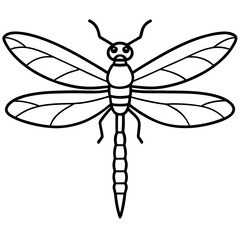 Sleek Dragonfly Line Art Vector