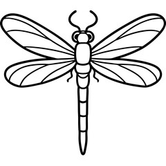 Sleek Dragonfly Line Art Vector