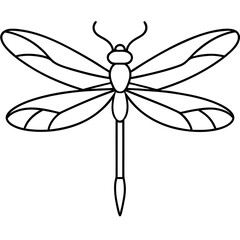 Sleek Dragonfly Line Art Vector