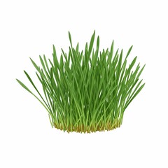 A lush green lawn