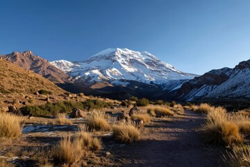 Chimbarazo day picture
