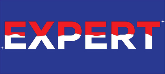 expert,logo,design,template,typographyvector