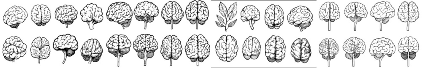 Collection of black brain outlines on a white background suitable for medical purposes