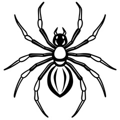 Sleek Black Widow Spider Vector in One Line