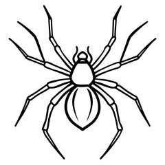 Sleek Black Widow Spider Vector in One Line