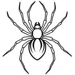 Sleek Black Widow Spider Vector in One Line