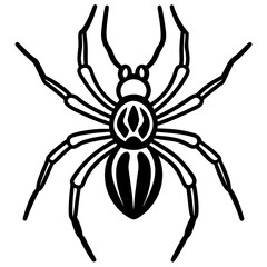Sleek Black Widow Spider Vector in One Line