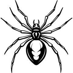 Sleek Black Widow Spider Vector in One Line