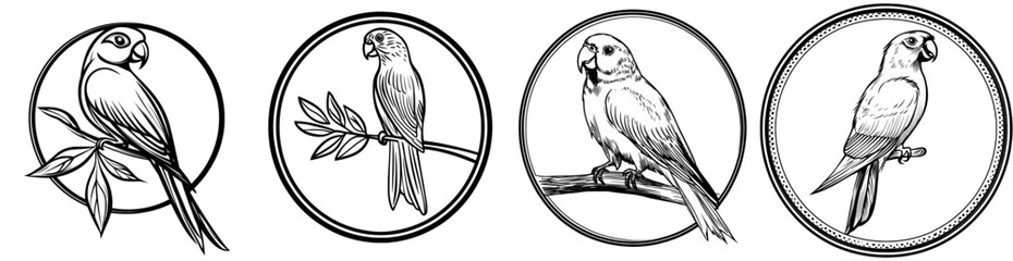 A parrot's silhouette is positioned on a branch within a circular emblem