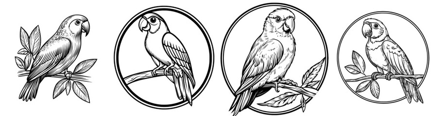 A circular frame encloses a silhouette logo of a parrot in monochrome