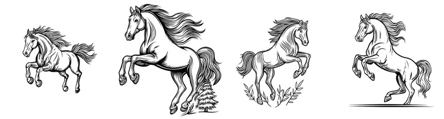 Illustration of a rearing horse in black silhouette with a flowing mane