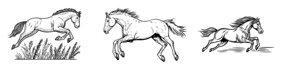 Fototapeta premium The modern illustration features a horse galloping, shown as a black silhouette