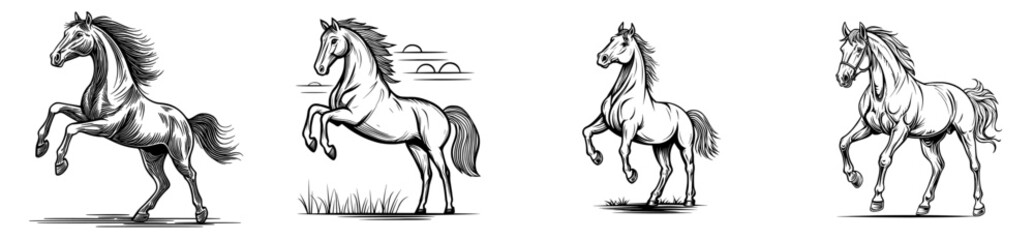 The silhouette of a rearing horse is black with a flowing mane and tail