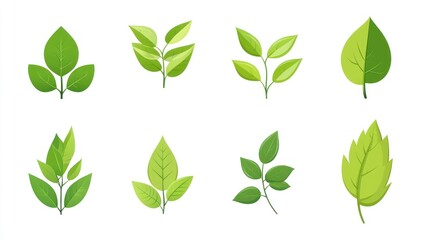 Fototapeta premium Colorful Leaf Illustrations on White Background